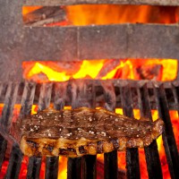 Parrilla 06